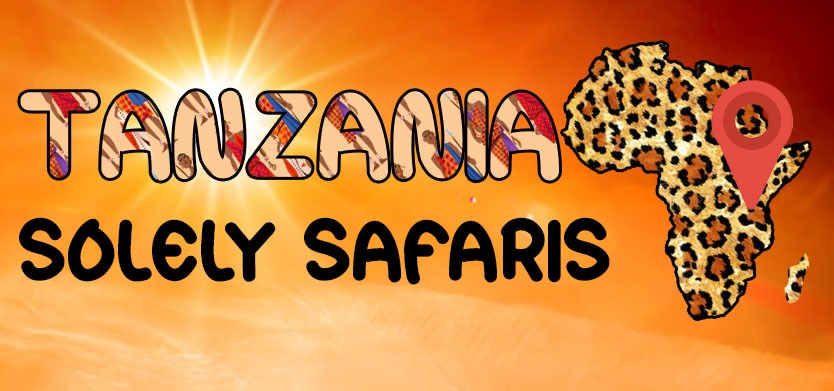 Tanzania Solely Tours
