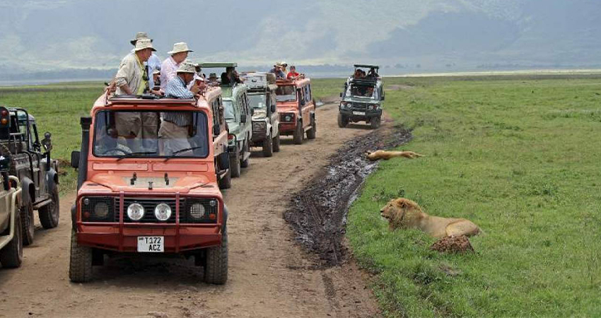 5 days tanzania big 5 safari