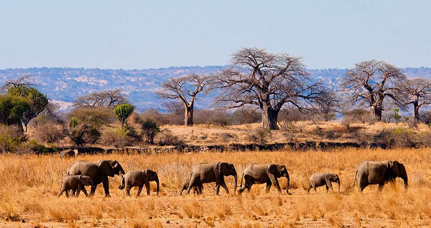 4 days tanzania safari Ngorongoro