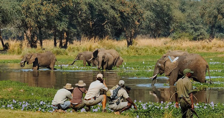 5 days tanzania private safari manyara